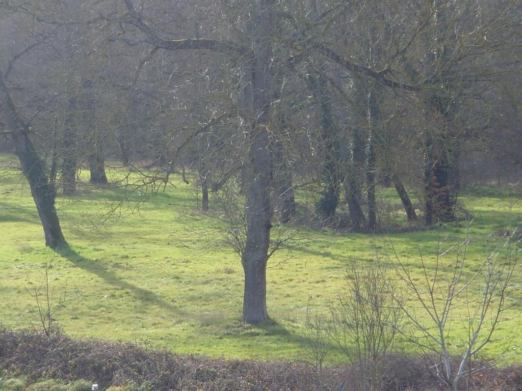 Le Bravard Jumeaux Exterior foto